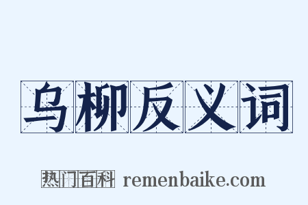 乌柳反义词是什么意思的图片